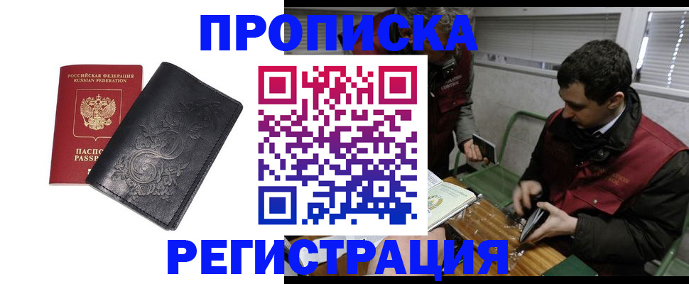 прописка поиск в Шлиссельбурге